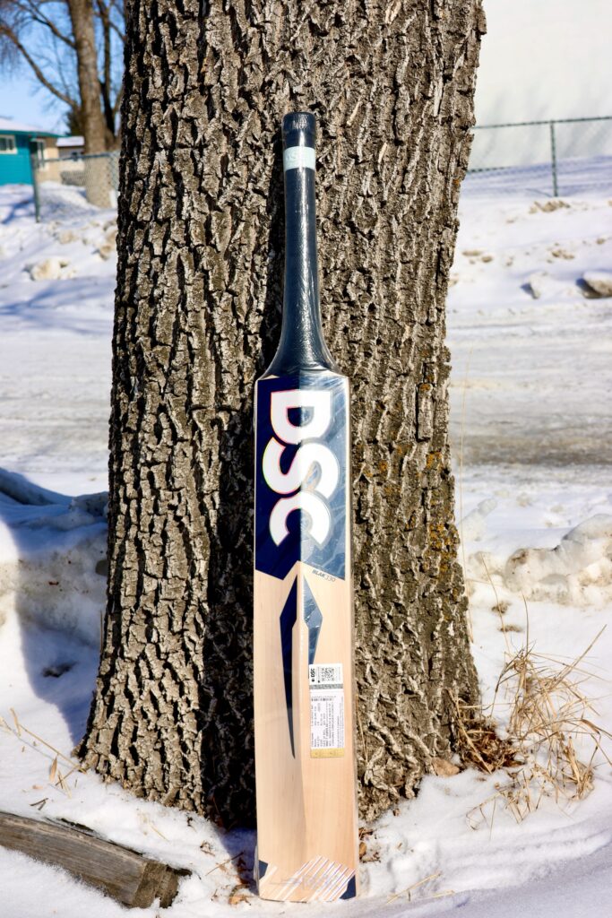 Dsc Black 330 Cricket Bat