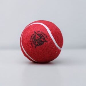 skyshot athletics sixer ball