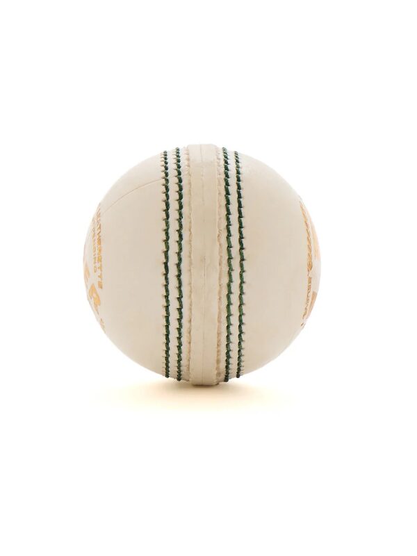 skyshot Super 50 cricket ball
